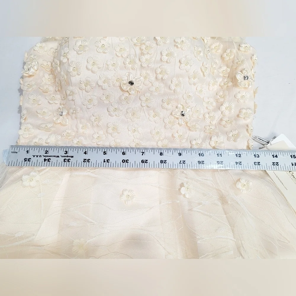 TS COUTURE Women's Size 2/4 Sleeveless Dress, Lined, Tulle skirt, Embroi…